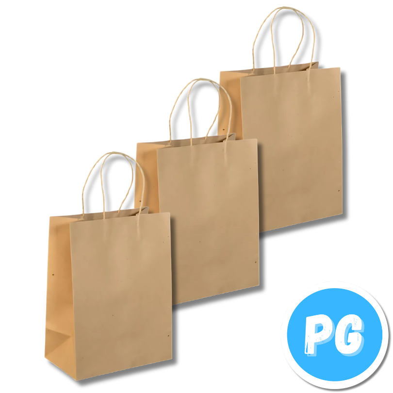 Paquete Bolsa Papel Kraft Con Manija x12 Unds #6 19x11x25 Centimetros