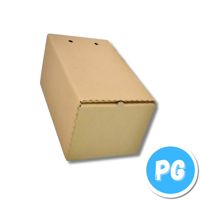 Caja Archivo X200 620 Gramos 26x20x40 Centimetros