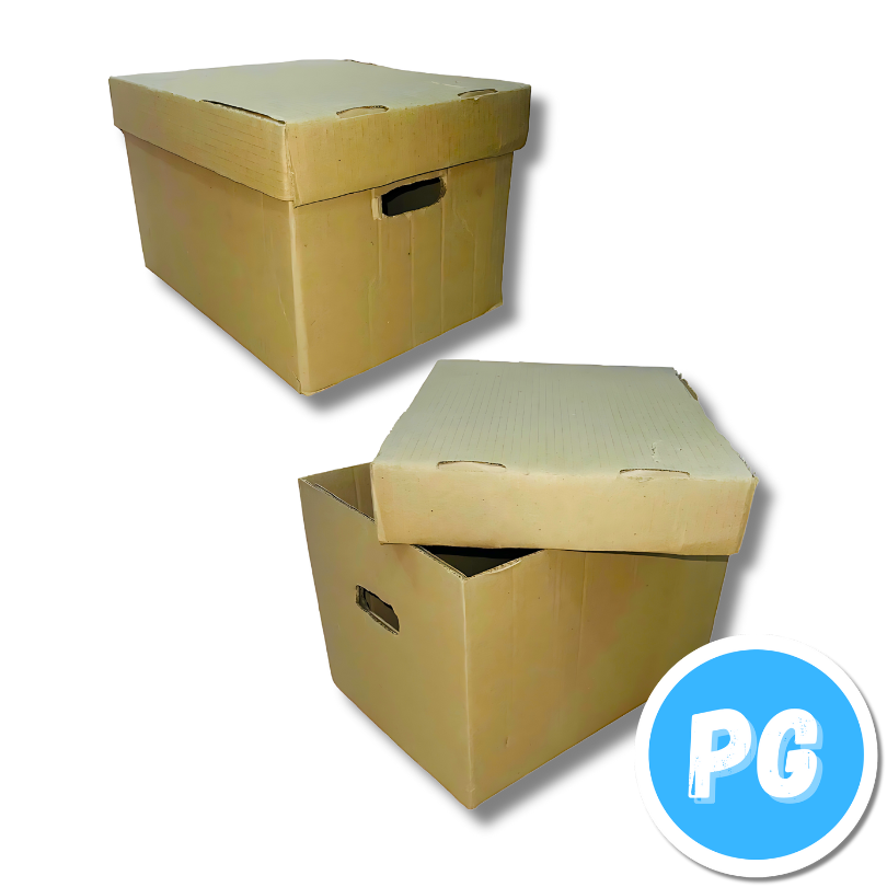 Caja De Archivo X300 Con Tapa 405 Gramos (38,5 Cm De Largo X 28,5 Cm De Ancho X 25 Cm De Alto)