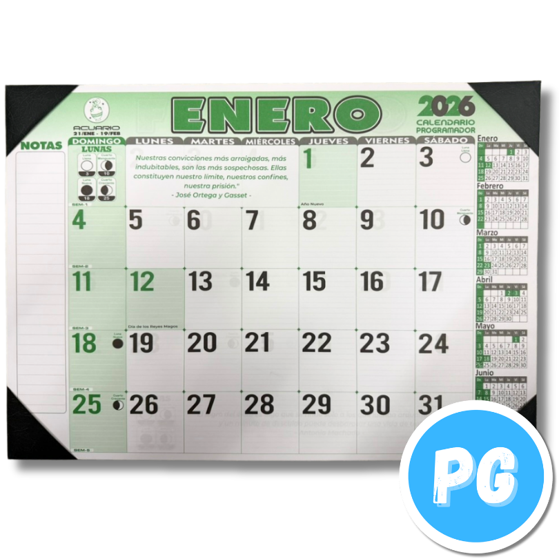 Programador Escritorio Puntera 2026 49x35 Centimetros
